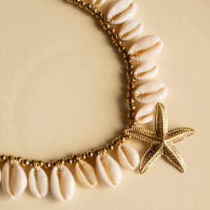 Collier en Coquillage Naturel