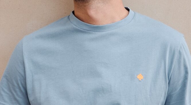 t-shirt-beau-pic-bleucharron